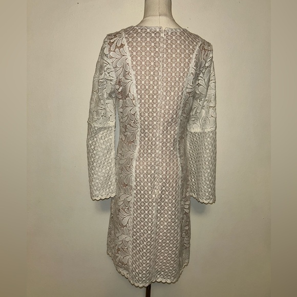 🤍JAX Black Label Lace Overlay Dress🤍 - Picture 5 of 14